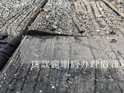 贷款逾期后办理借新还旧 贷款逾期后办理借新还旧