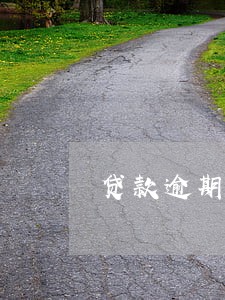 贷款逾期后可以只还本金吗 贷款逾期后可以只还本金吗