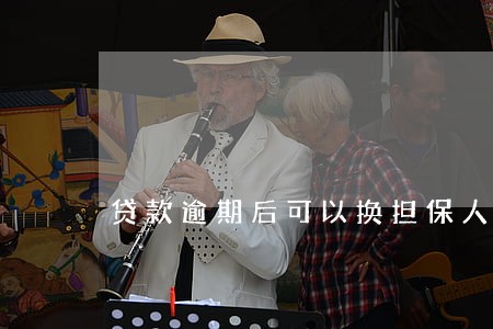 贷款逾期后可以换担保人吗