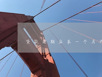 贷款逾期后在一个月内还上 贷款逾期后在一个月内还上