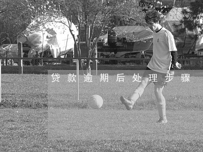 贷款逾期后处理步骤 贷款逾期后处理步骤