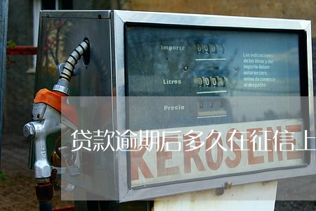 贷款逾期后多久在征信上体现 贷款逾期后多久在征信上体现