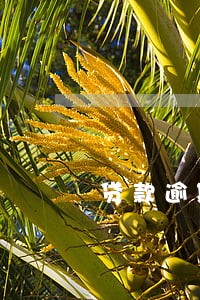 贷款逾期后多少天进不良 贷款逾期后多少天进不良