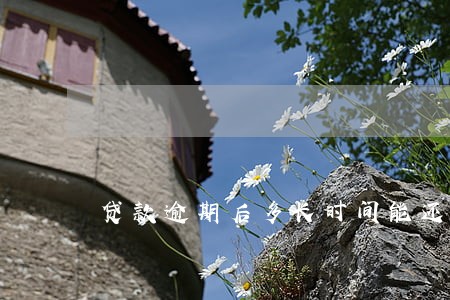 贷款逾期后多长时间能还贷 贷款逾期后多长时间能还贷