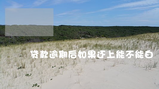 贷款逾期后如果还上能不能白 贷款逾期后如果还上能不能白