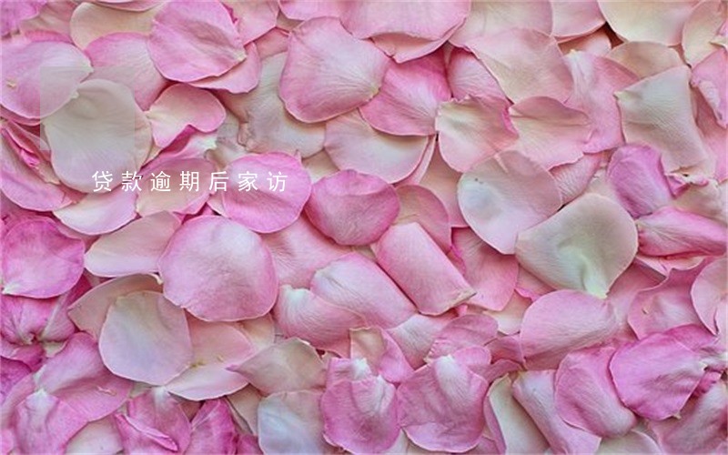贷款逾期后家访 贷款逾期后家访