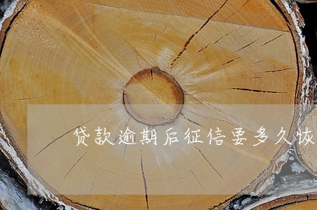 贷款逾期后征信要多久恢复 贷款逾期后征信要多久恢复