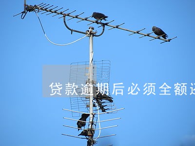 贷款逾期后必须全额还款吗 贷款逾期后必须全额还款吗