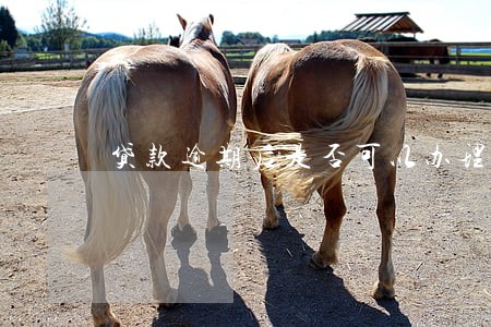 贷款逾期后是否可以办理展期 贷款逾期后是否可以办理展期