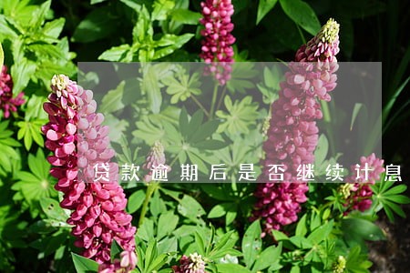 贷款逾期后是否继续计息 贷款逾期后是否继续计息