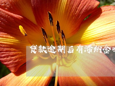 贷款逾期后有滞纳金吗 贷款逾期后有滞纳金吗
