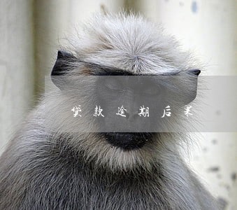 贷款逾期后果