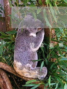 贷款逾期后果严重6