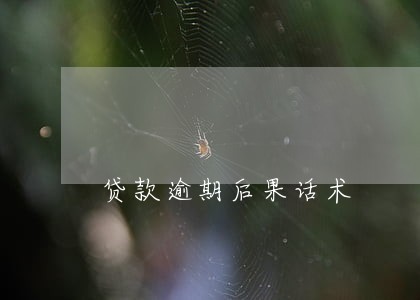 贷款逾期后果话术