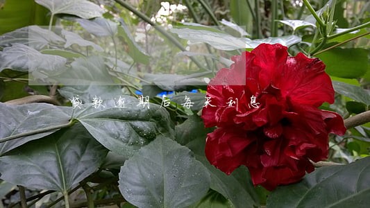 贷款逾期后每天利息 贷款逾期后每天利息