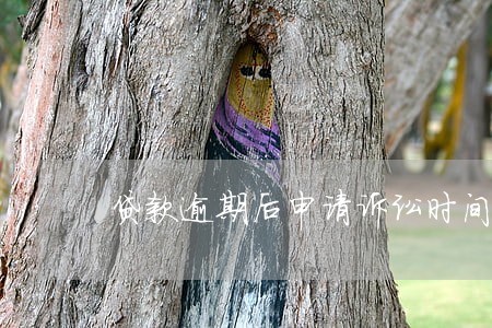 贷款逾期后申请诉讼时间