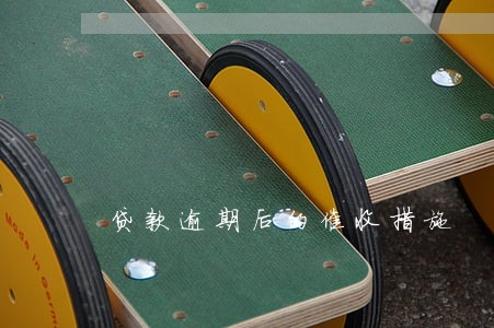 贷款逾期后的催收措施 贷款逾期后的催收措施