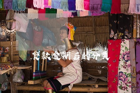 贷款逾期后的分类 贷款逾期后的分类