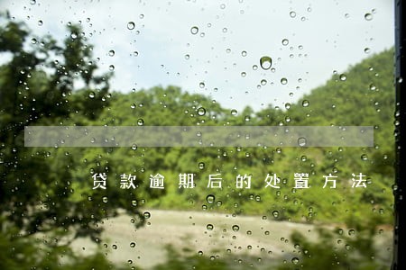 贷款逾期后的处置方法 贷款逾期后的处置方法