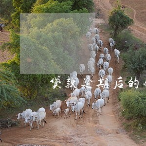 贷款逾期后的银行账务调整 贷款逾期后的银行账务调整