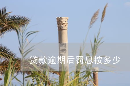 贷款逾期后罚息按多少 贷款逾期后罚息按多少