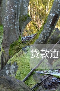 贷款逾期后能买房子吗 贷款逾期后能买房子吗