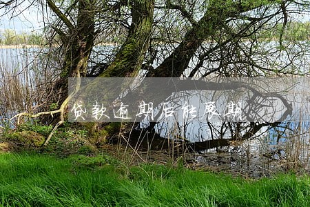 贷款逾期后能展期 贷款逾期后能展期
