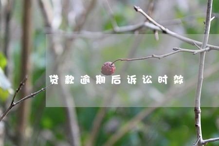 贷款逾期后诉讼时效 贷款逾期后诉讼时效
