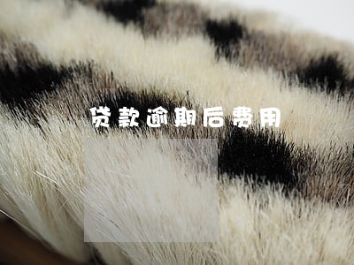 贷款逾期后费用 贷款逾期后费用