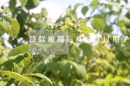 贷款逾期后身份证过期了 贷款逾期后身份证过期了