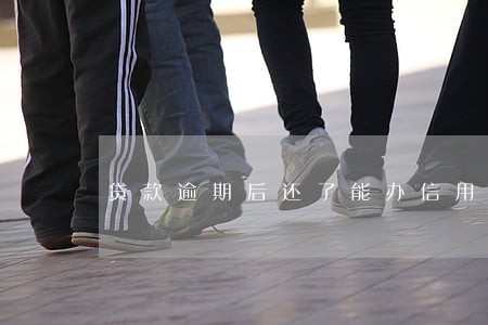 贷款逾期后还了能办信用卡吗 贷款逾期后还了能办信用卡吗