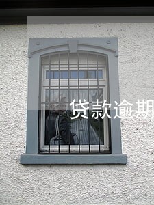 贷款逾期后还债先还息先还本 贷款逾期后还债先还息先还本