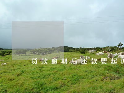 贷款逾期后还款要起诉 贷款逾期后还款要起诉