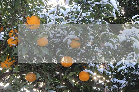 贷款逾期后进入黑名单吗 贷款逾期后进入黑名单吗