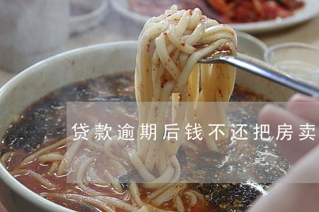 贷款逾期后钱不还把房卖了