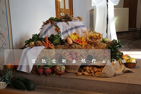 贷款逾期后银行上门催收吗 贷款逾期后银行上门催收吗