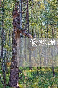 贷款逾期后银行冻结客户账户 贷款逾期后银行冻结客户账户