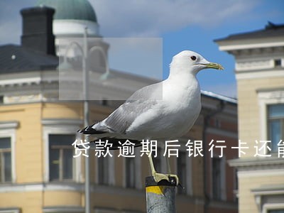 贷款逾期后银行卡还能用吗