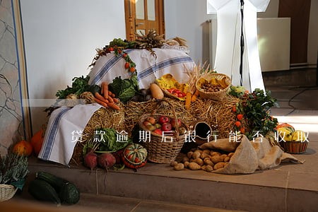 贷款逾期后银行能否收取违约金 贷款逾期后银行能否收取违约金