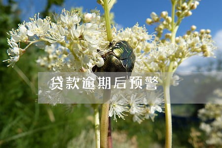 贷款逾期后预警 贷款逾期后预警