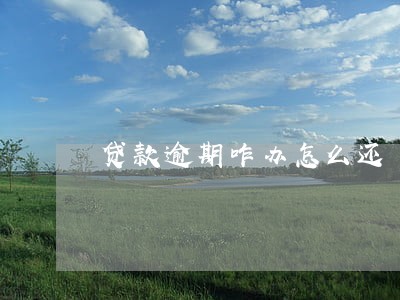 贷款逾期咋办怎么还 贷款逾期咋办怎么还