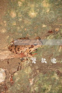 贷款逾期咋处理掉 贷款逾期咋处理掉