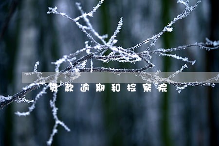 贷款逾期和检察院 贷款逾期和检察院