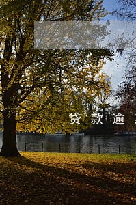 贷款逾期和贷款违约 贷款逾期和贷款违约
