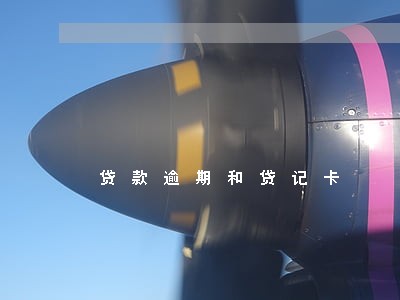 贷款逾期和贷记卡 贷款逾期和贷记卡