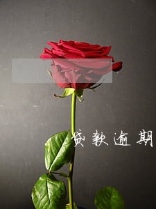 贷款逾期和还款日