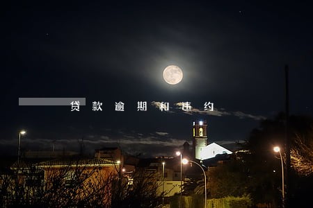 贷款逾期和违约
