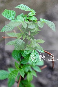 贷款逾期哪个部门管 贷款逾期哪个部门管