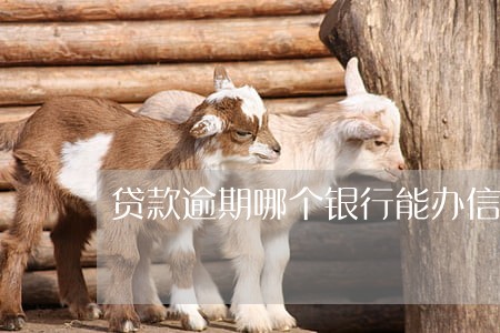 贷款逾期哪个银行能办信用卡