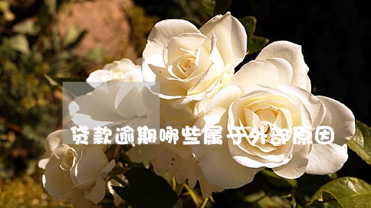 贷款逾期哪些属于外部原因 贷款逾期哪些属于外部原因